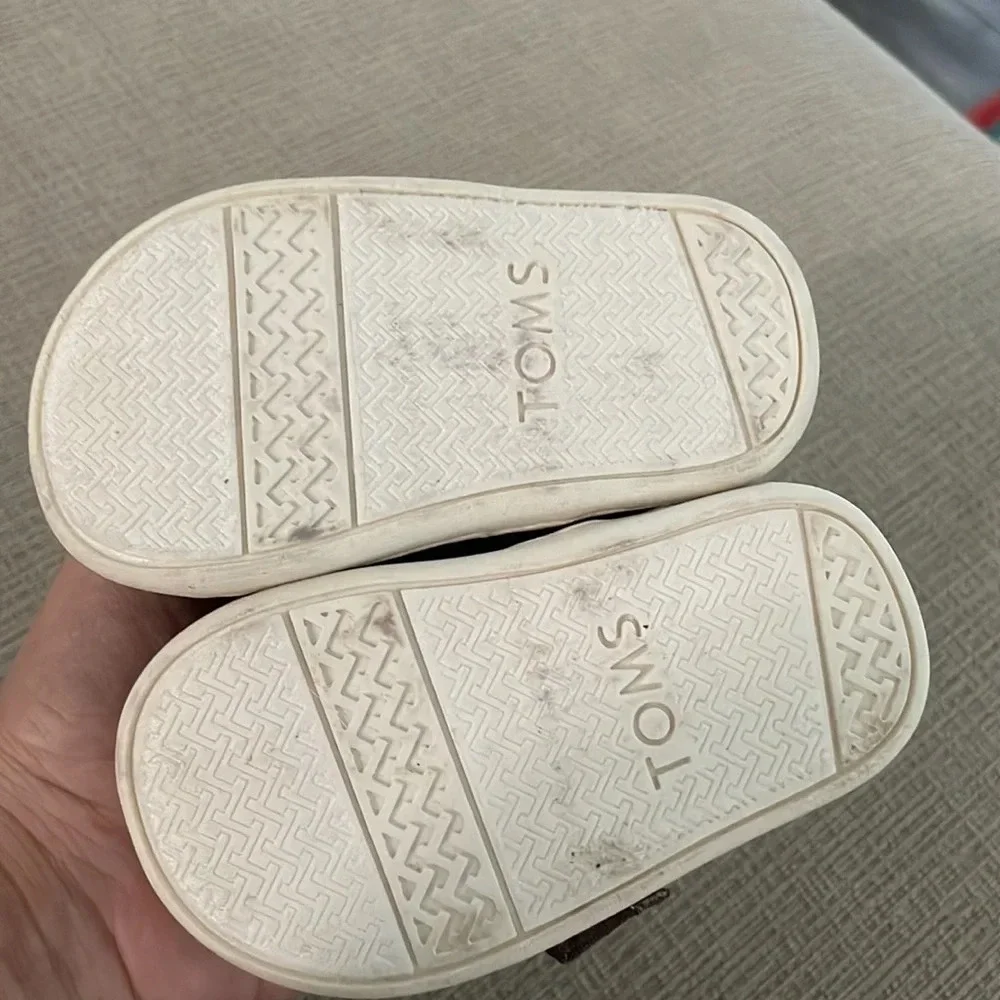 Toms Tiny Belmont Ash Canvas NEW